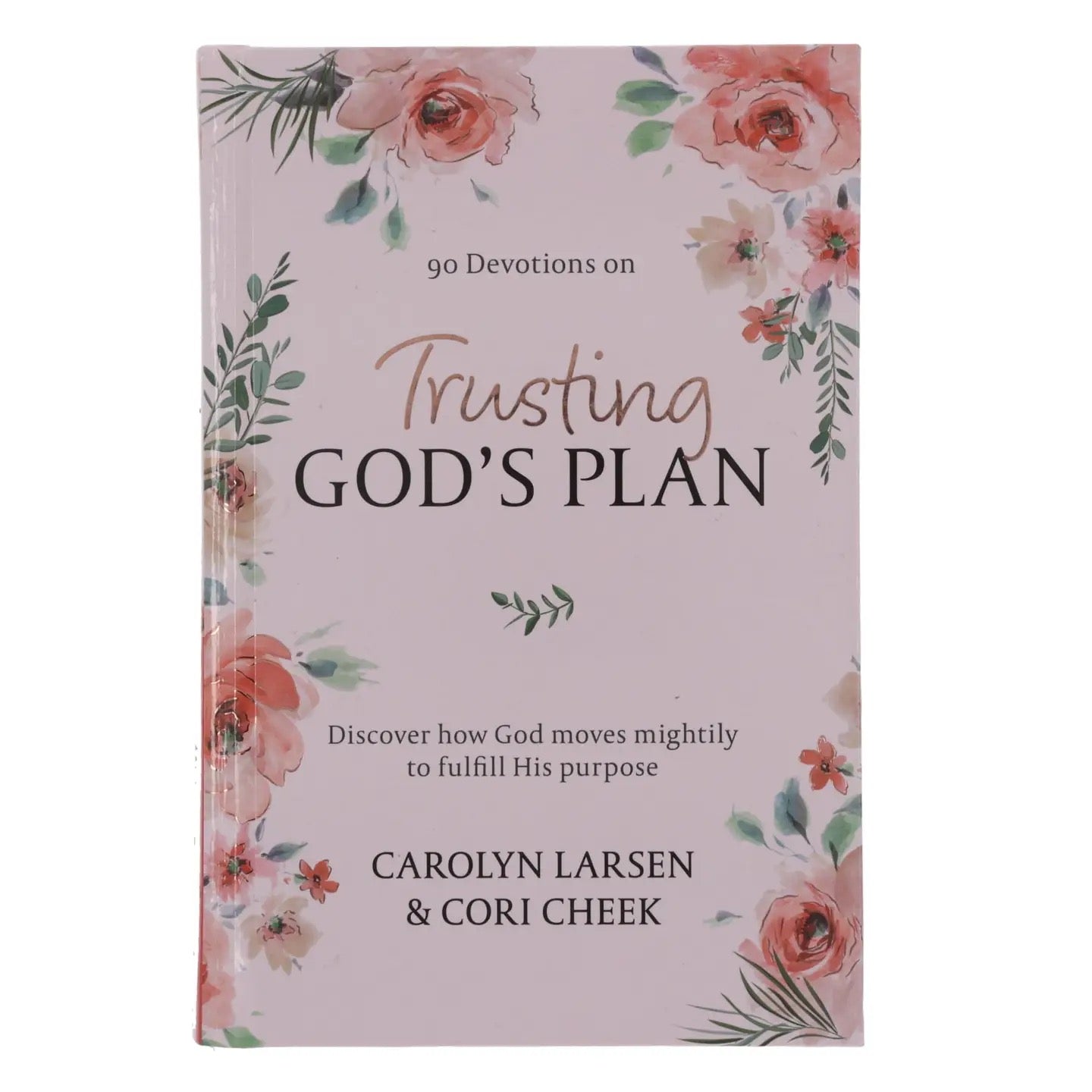 Trusting God's Plan Devotional