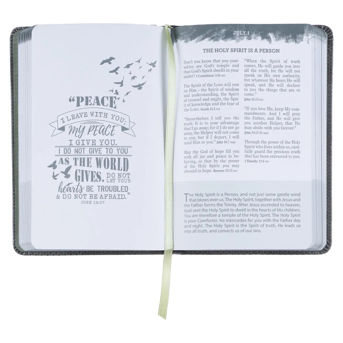 Pocket Bible Devotional For Guys