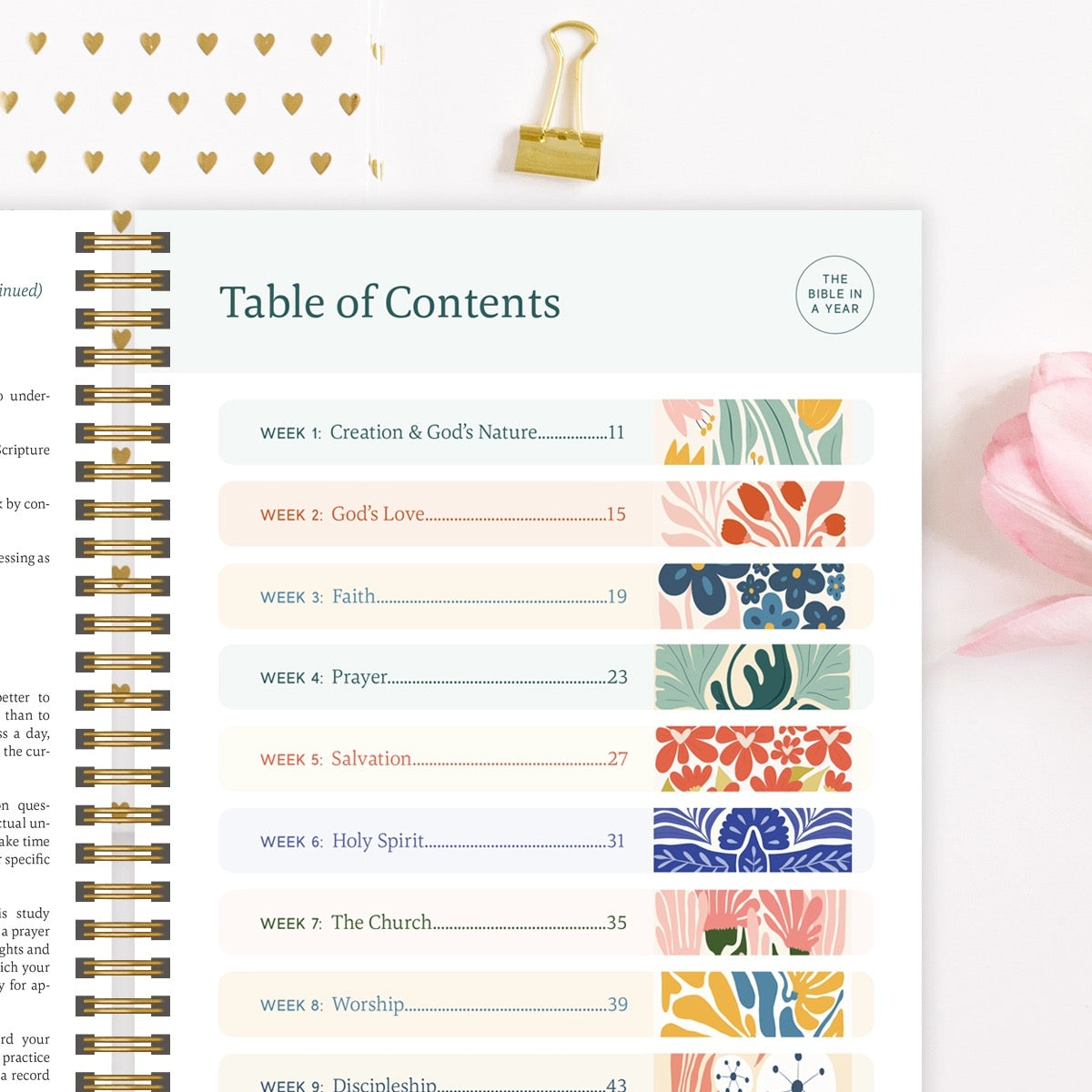 The Bible In A Year: A 52 Week Study