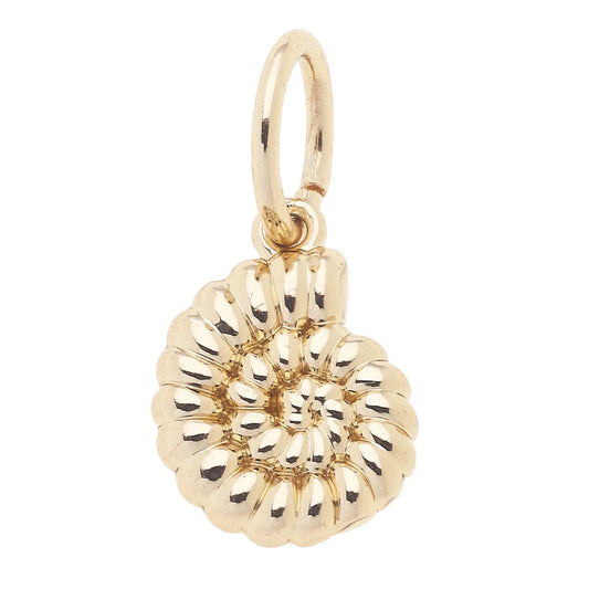 Spiral Shell Charm Gold