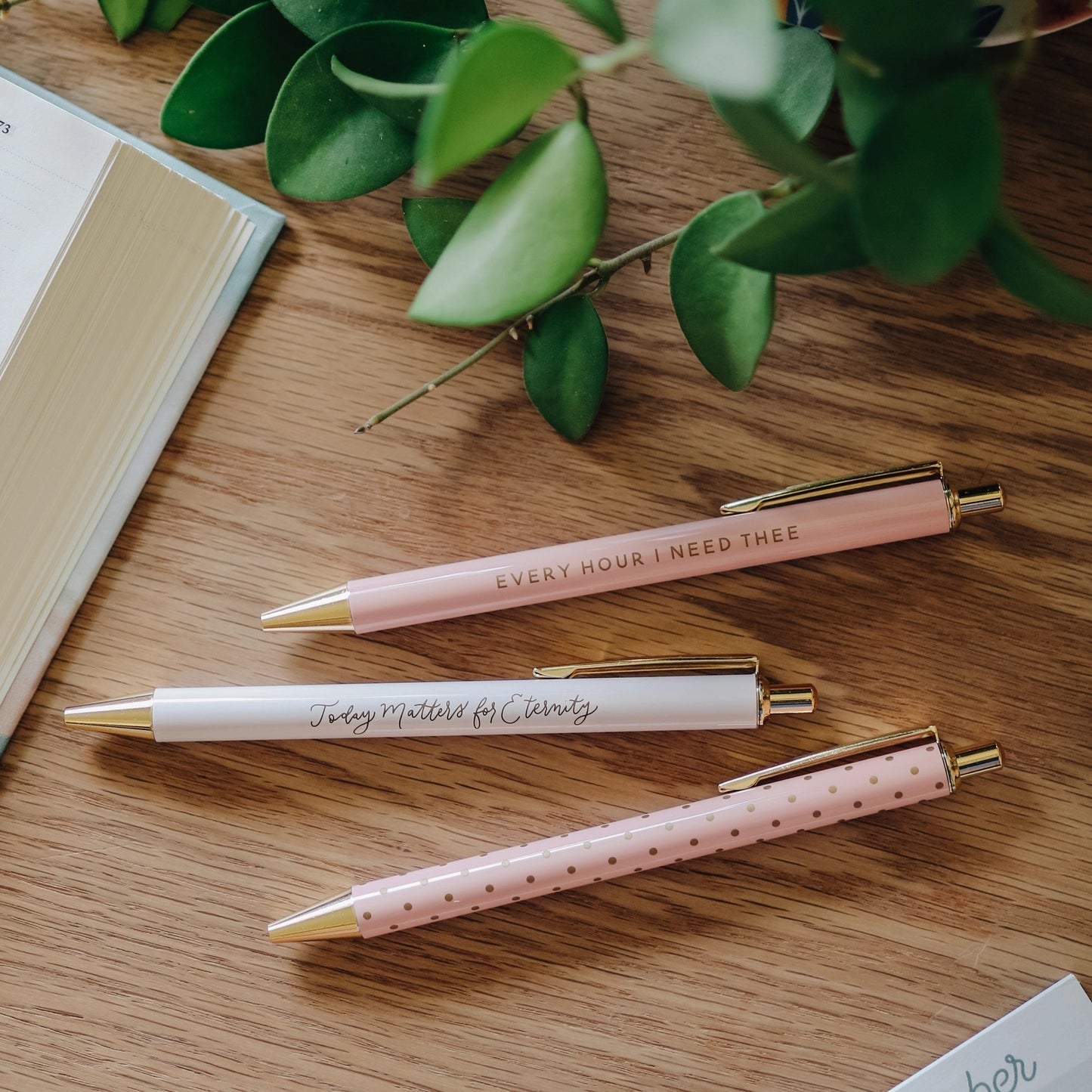 Pen Set-Blush