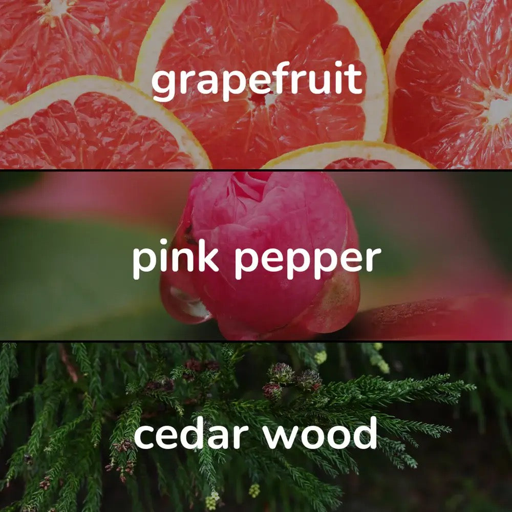 Lucid Coast Inspired Perfume - Blue Moon