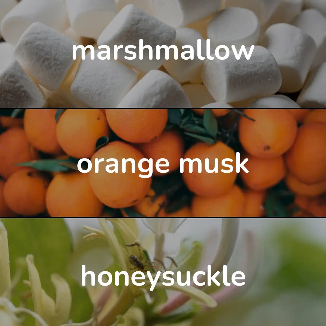 Lucid Coast Inspired Perfume - Fleur Noir