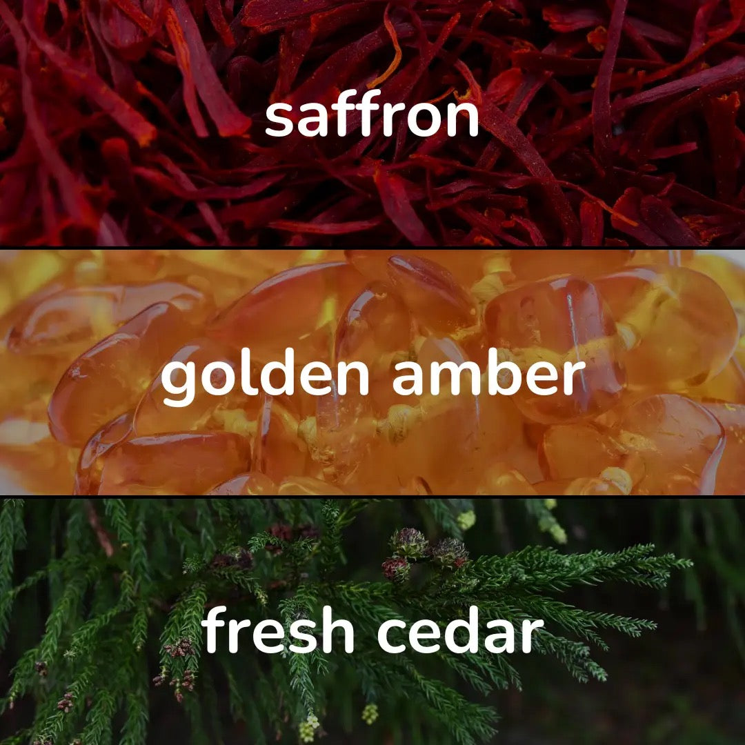 Lucid Coast Inspired Perfume - Maroon