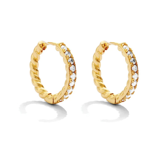 Splendid Iris Twist Huggie Earrings