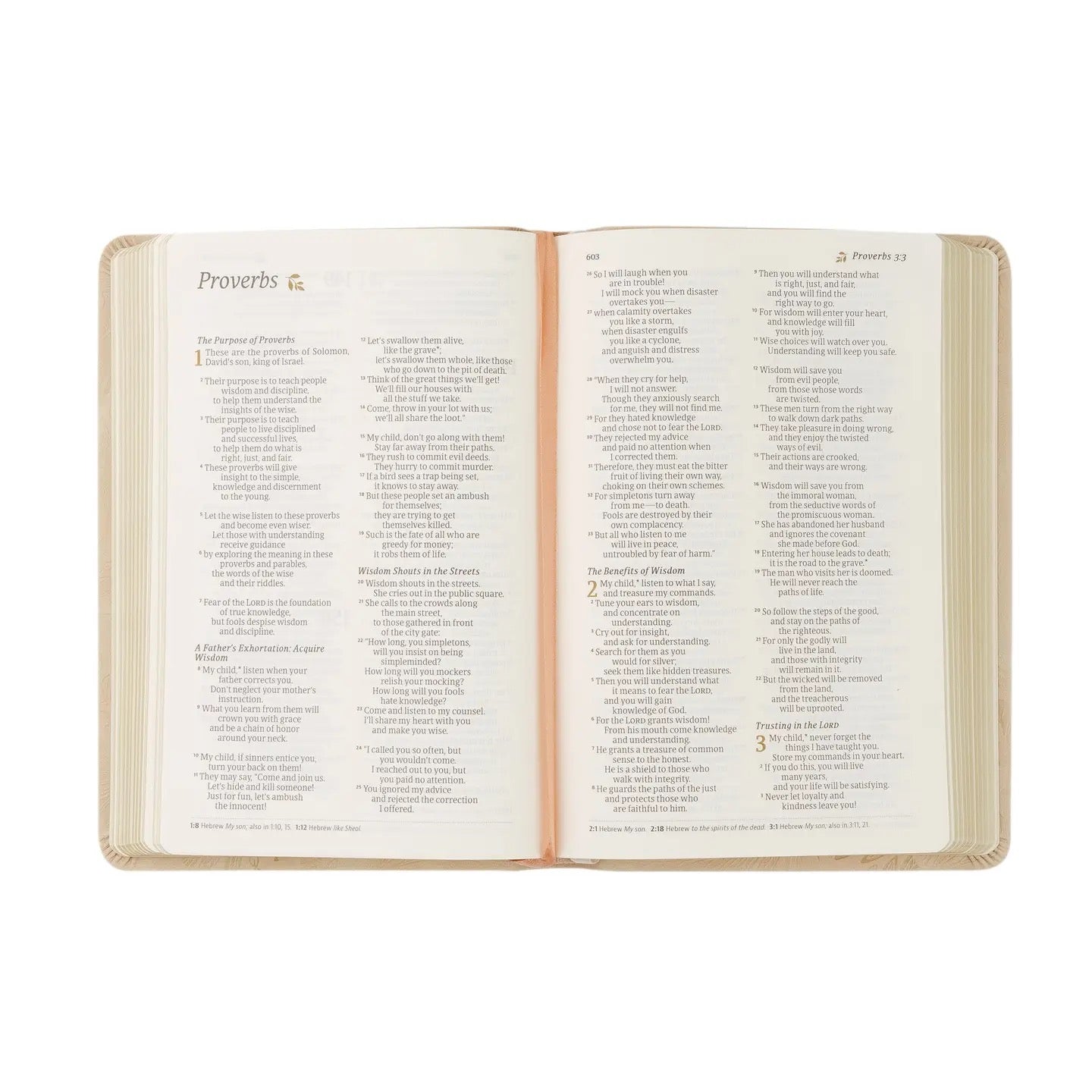 NLT Compact Bible: Sonora