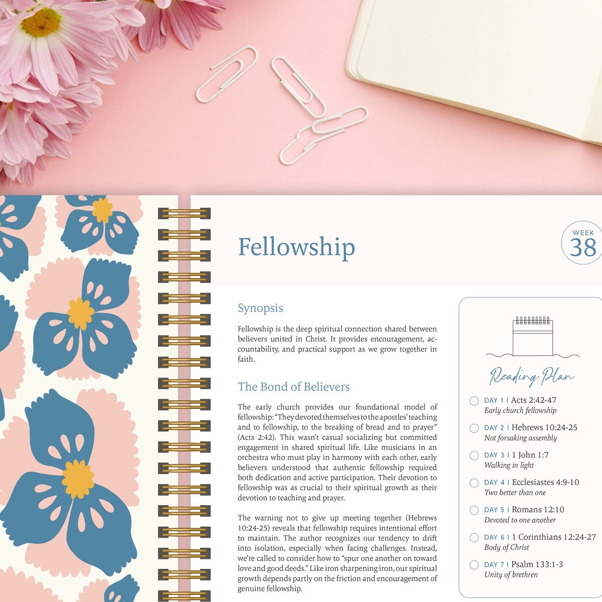 The Bible In A Year: A 52 Week Study