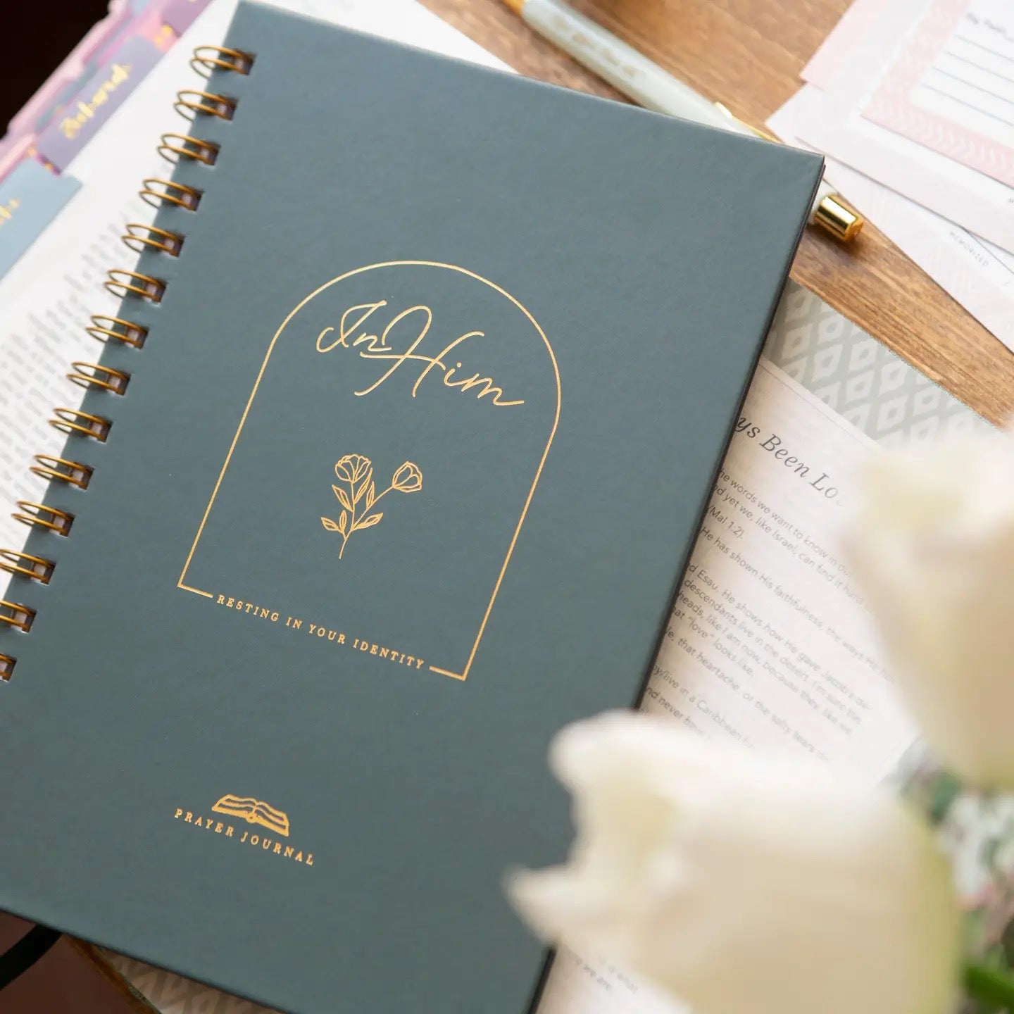 In Him Identity in Christ Guided Journal
