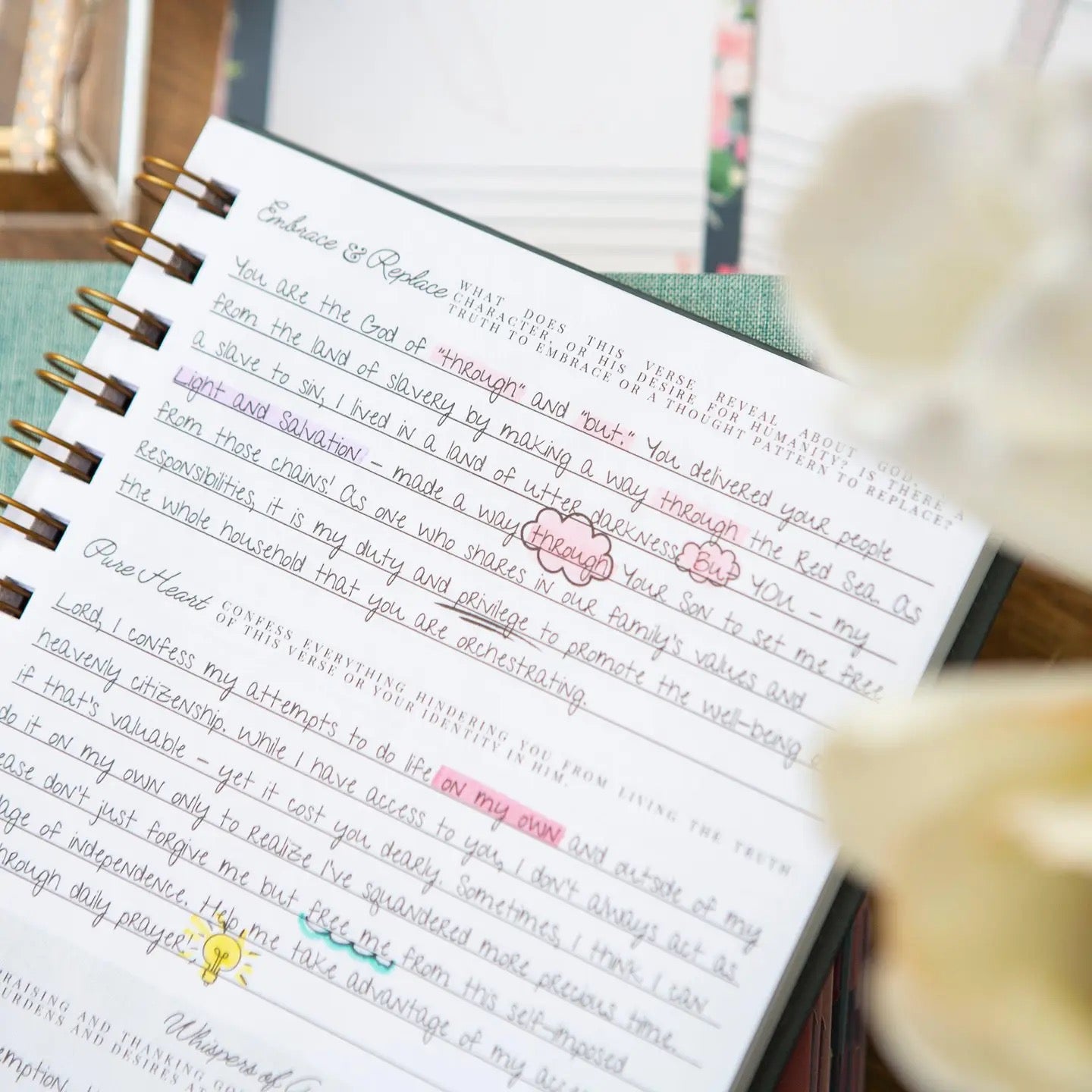 In Him Identity in Christ Guided Journal