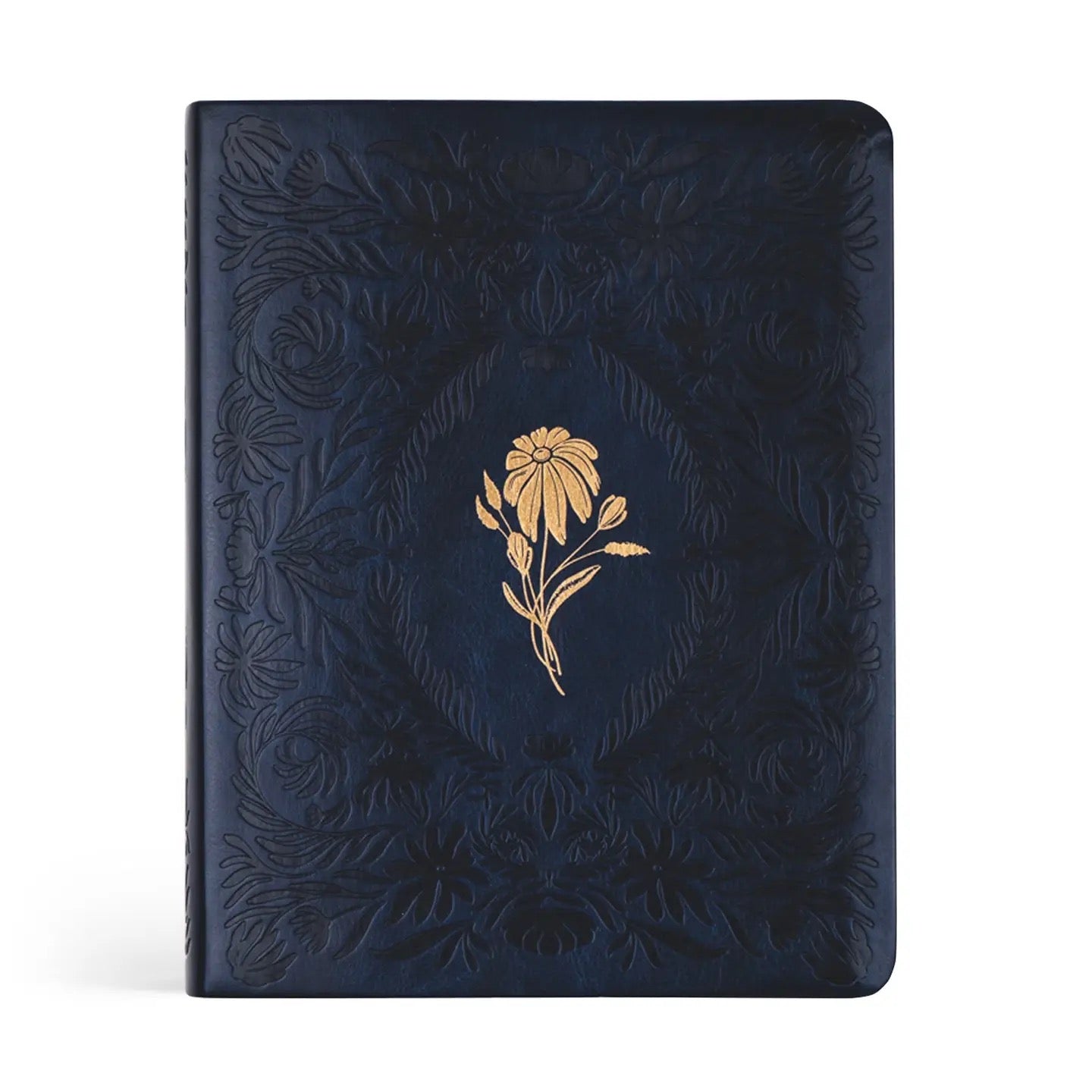 NLT Note-taking Bible: Versailes