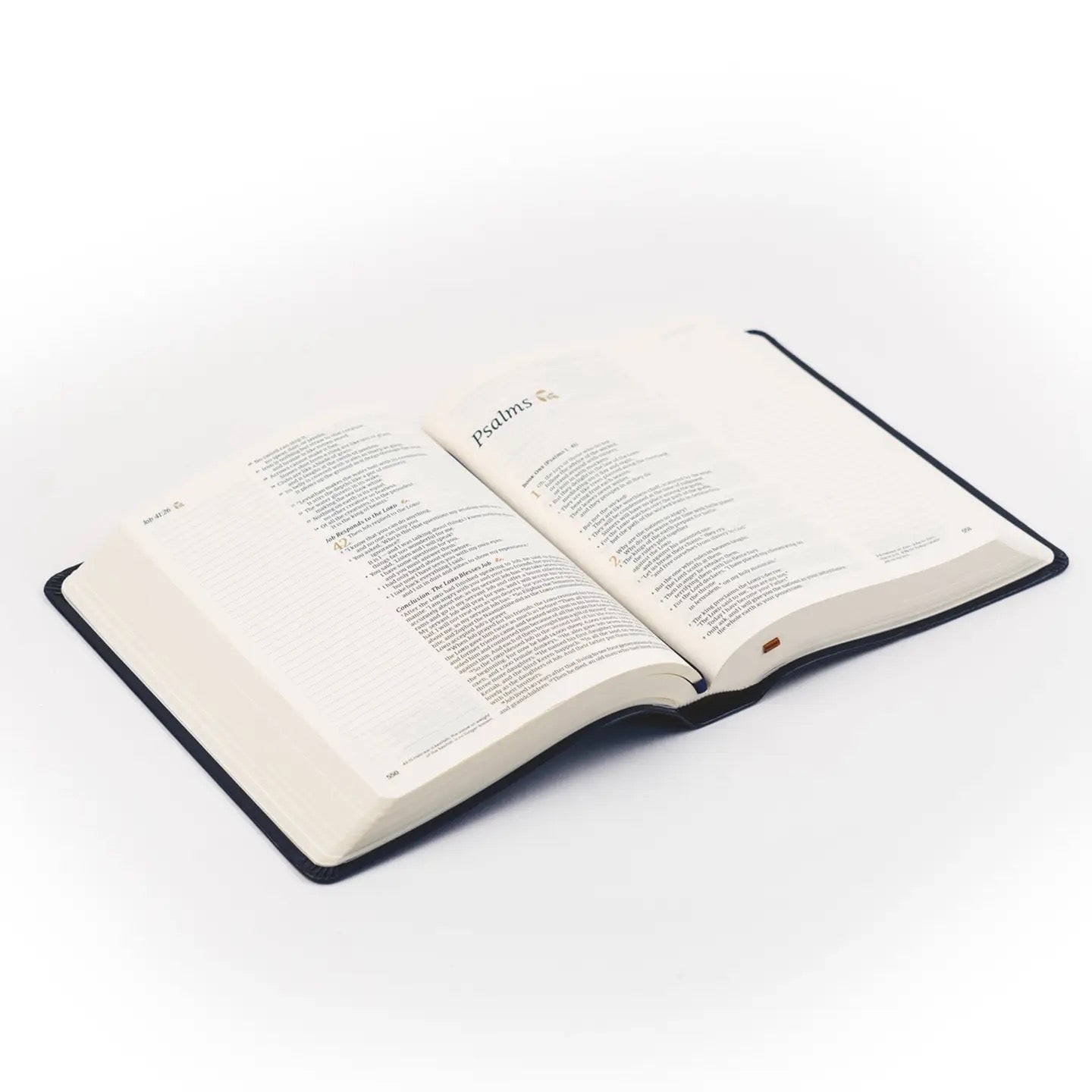 NLT Note-taking Bible: Versailes