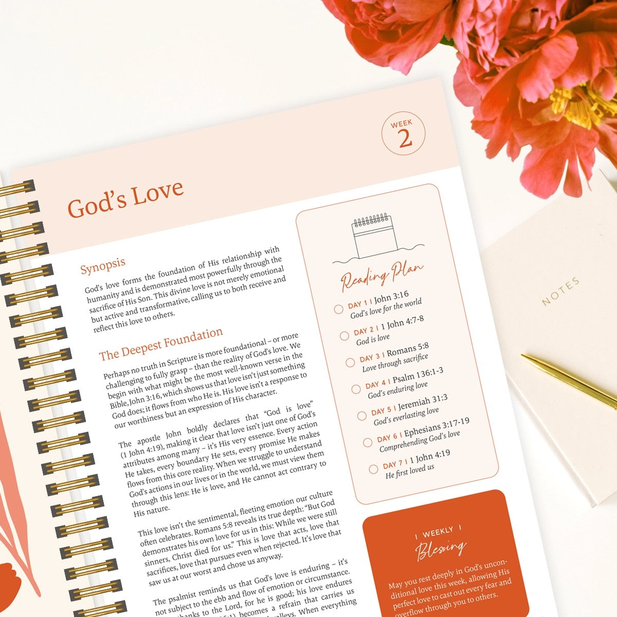 The Bible In A Year: A 52 Week Study