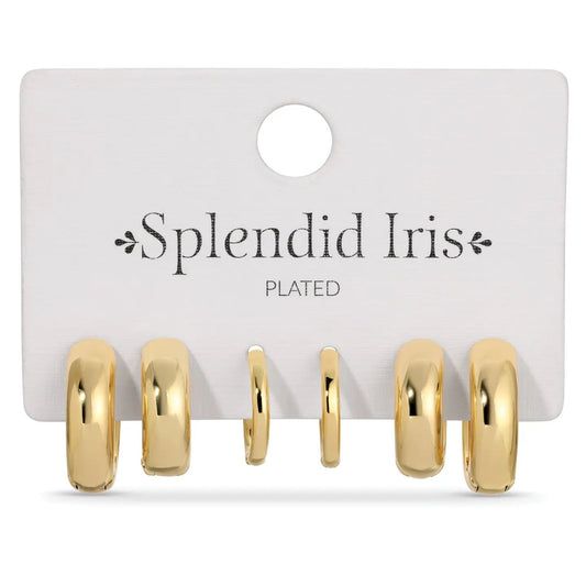 Splendid Iris Assorted Hoop Huggie Earrings