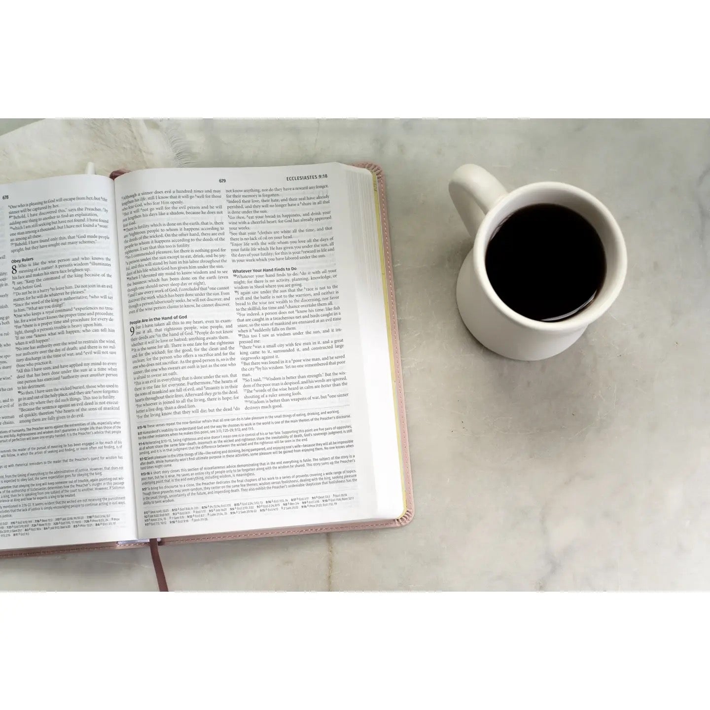 NASB Light for Life Study Bible - Bouquet Blush