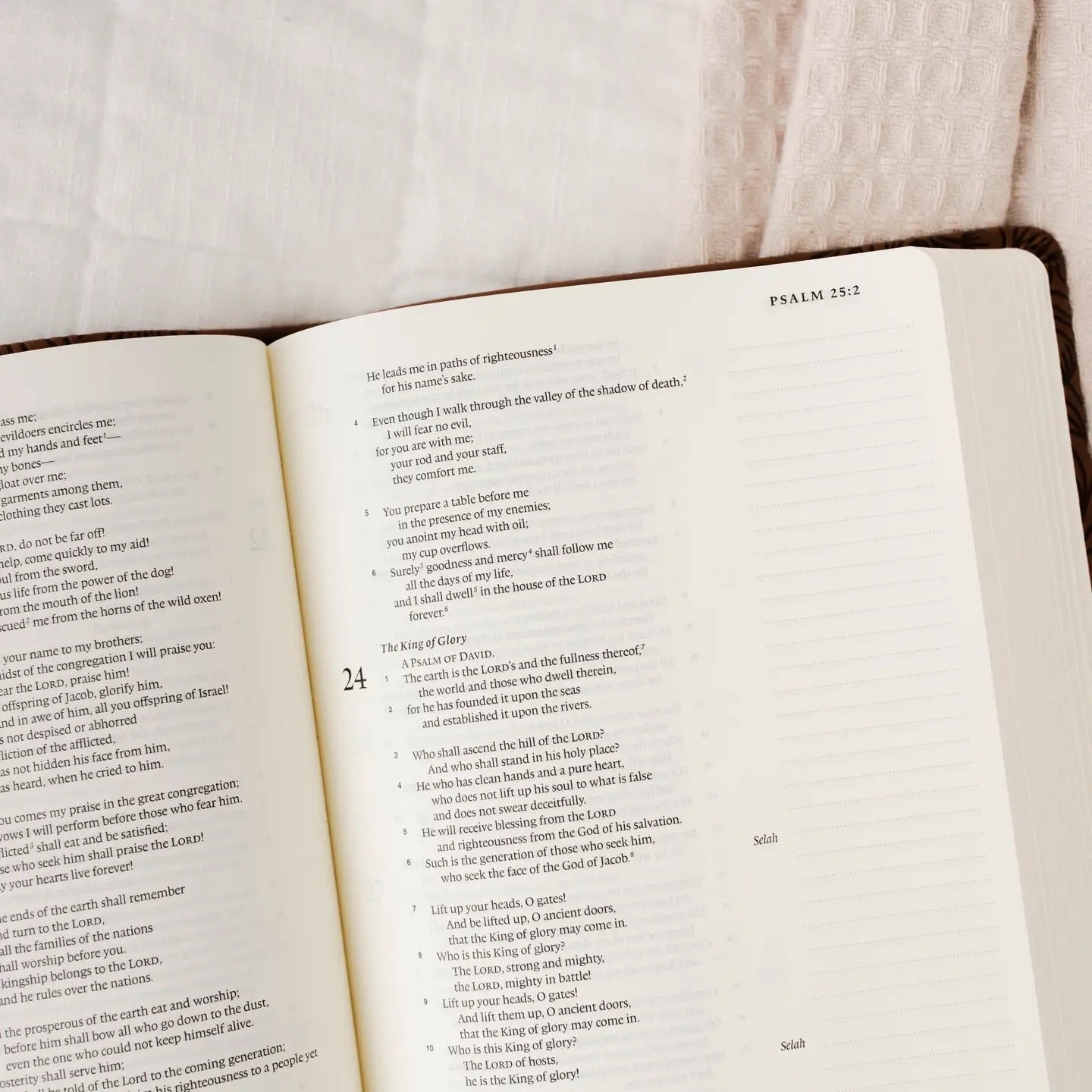 ESV Single Column Journaling Bible-Treasured