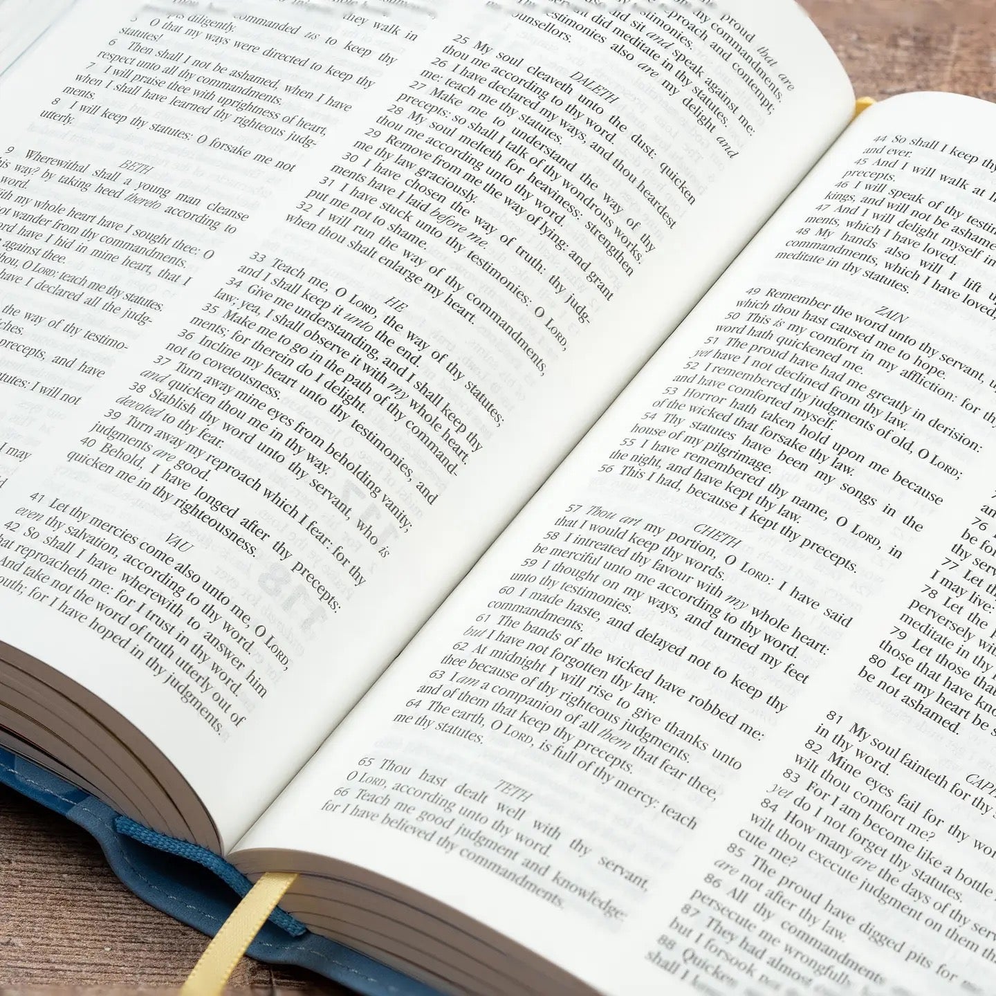 KJV My First Real Bible - Blue