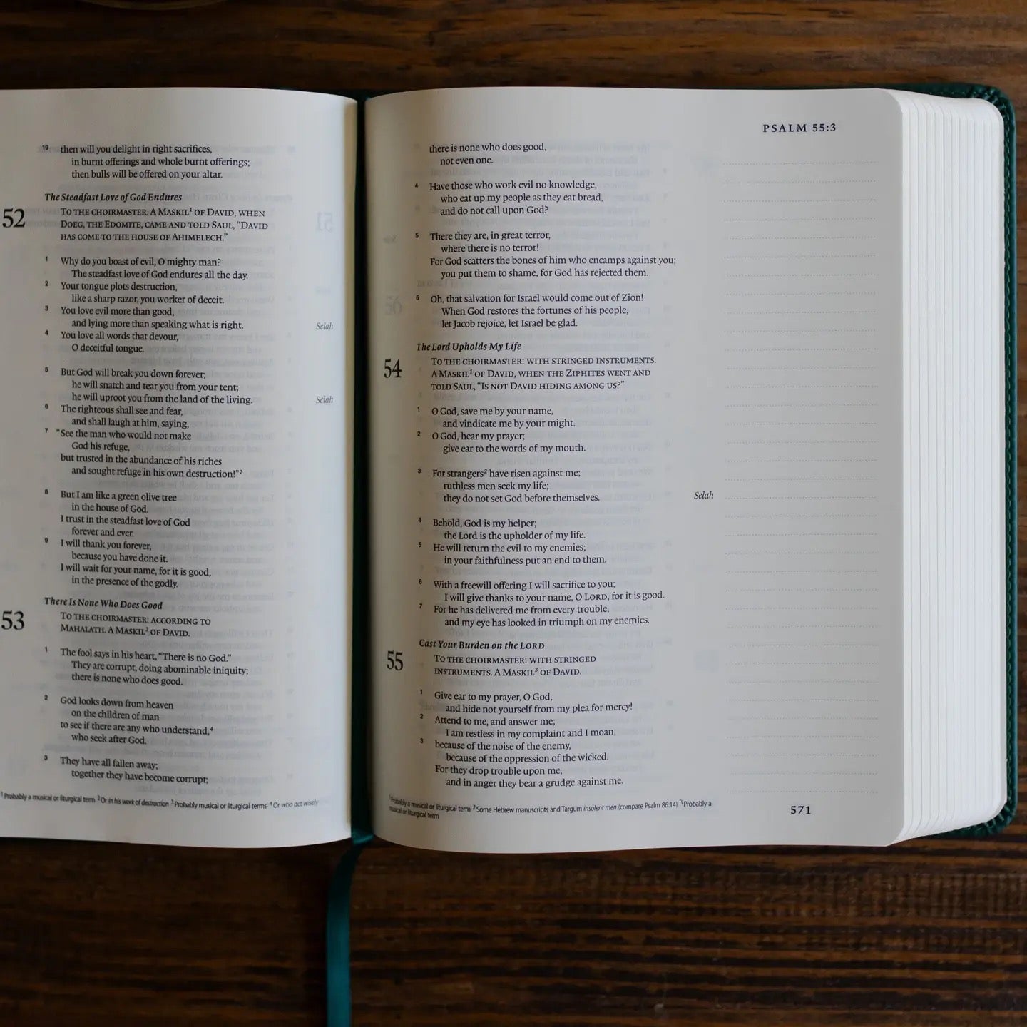 ESV Single Column Journaling Bible - Wild Rose Green