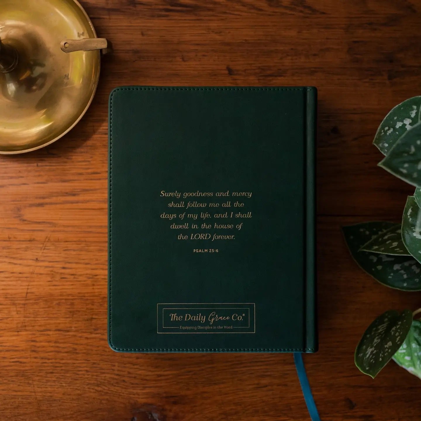 ESV Single Column Journaling Bible - Wild Rose Green