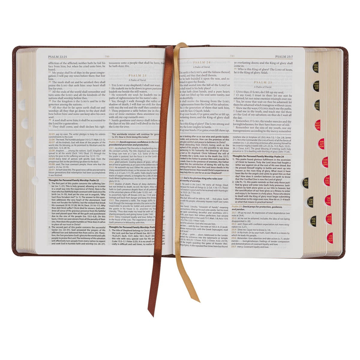 KJV Study Bible Faux Leather - Toffee/Burgendy