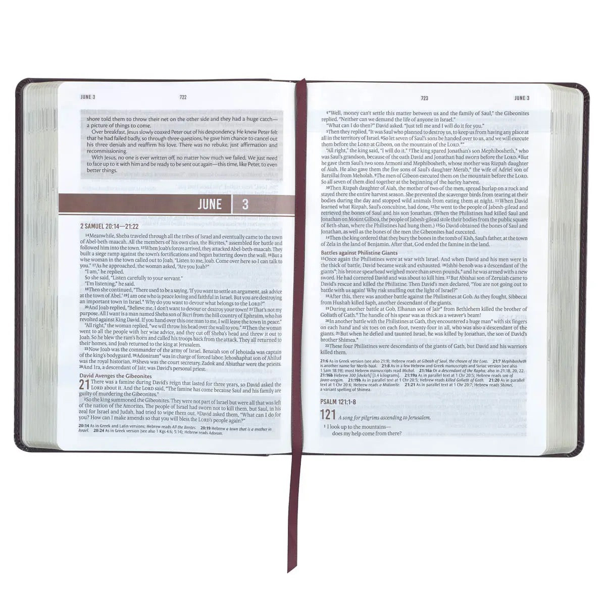NLT Devotional bible for Men - Walnut Brown