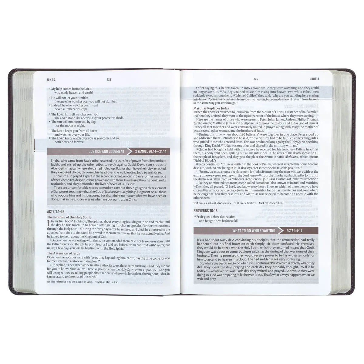 NLT Devotional bible for Men - Walnut Brown