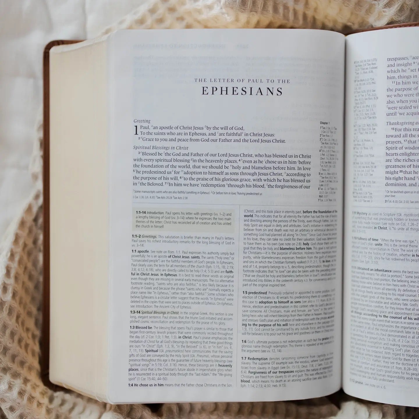 ESV Study Gold Leaf Bible