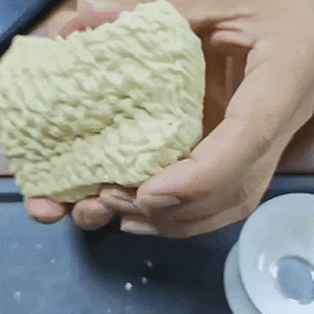 ASMR Crunchy Noodle Squishy
