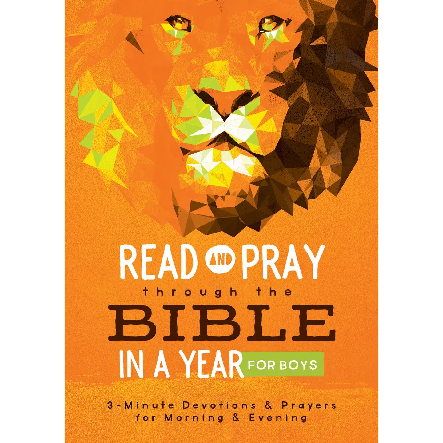 Read and Pray Through the Bible in a Year for Boys