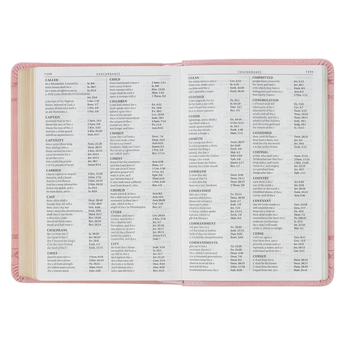 KJV- Compact Bible- Pink Crown of Thorns