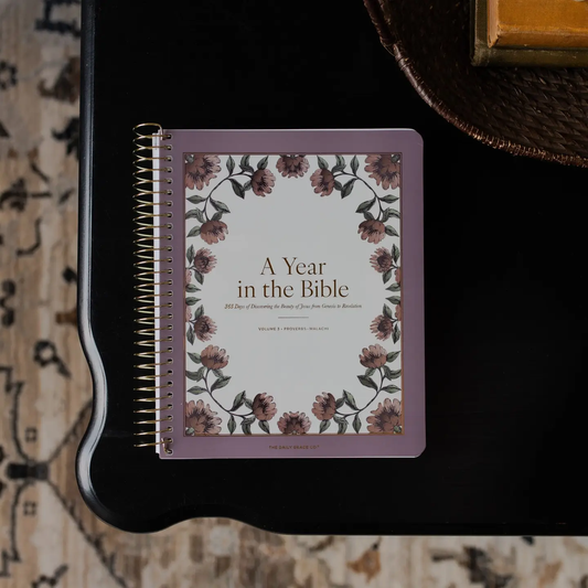 A Year In The Bible Volume 3