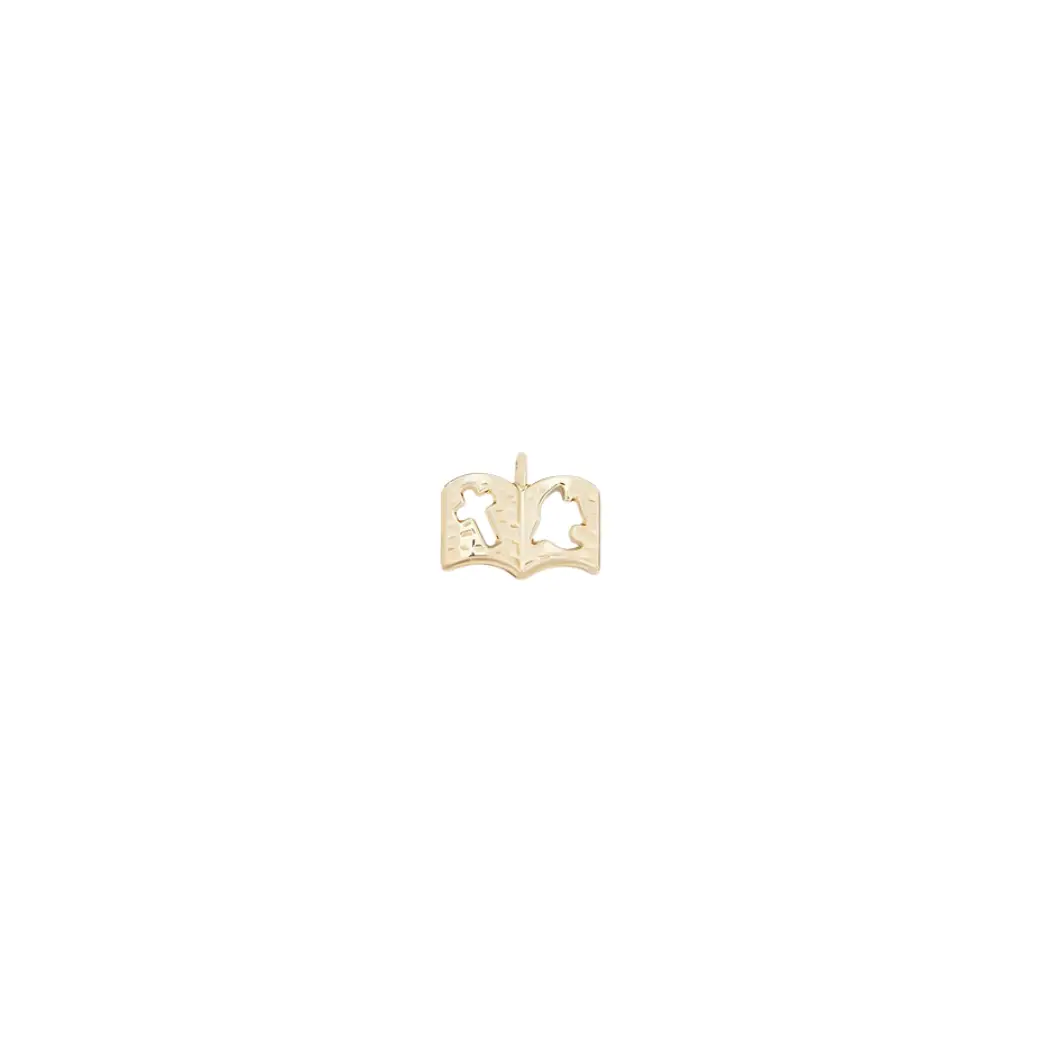 Gold Open Holy Bible Charm