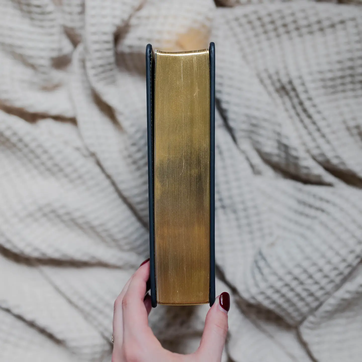 The Word | Esv Journaling Study Bible