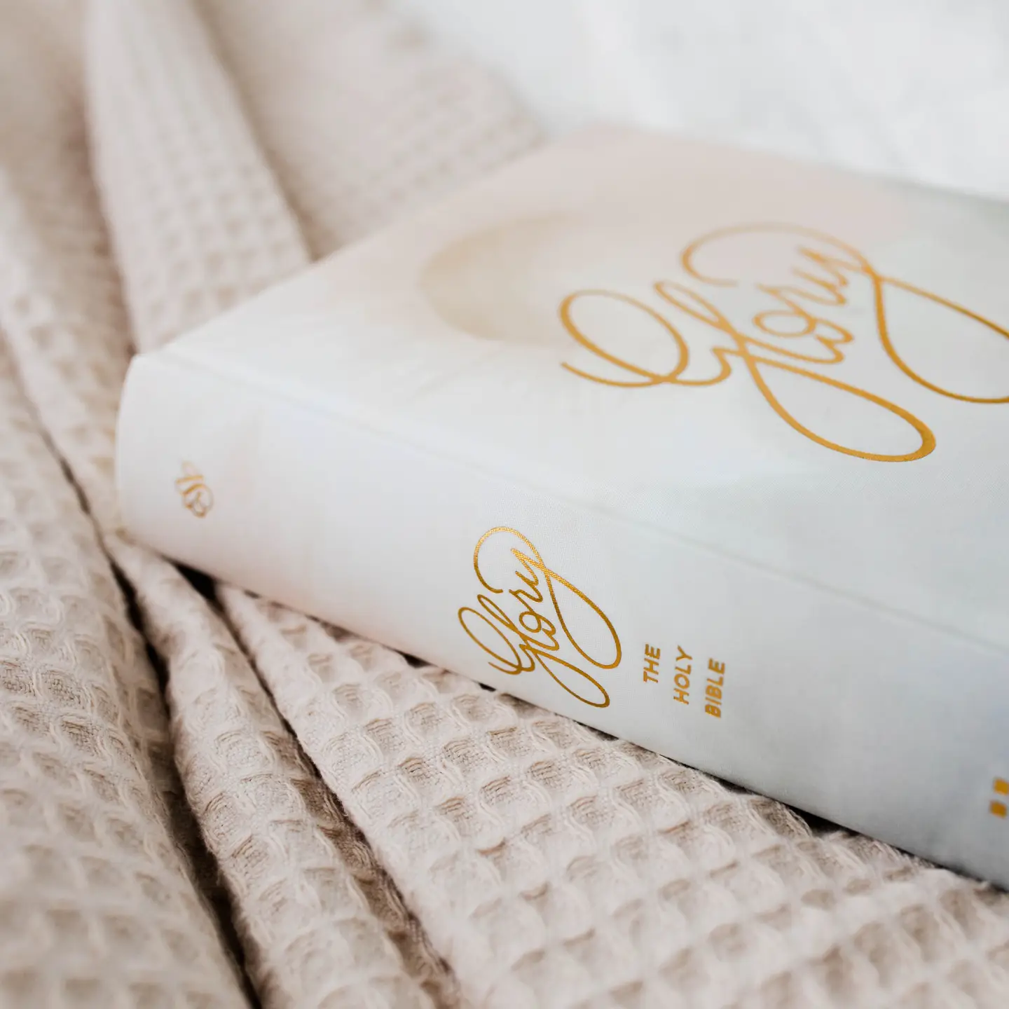 Glory- Esv Single Column Journaling Bible