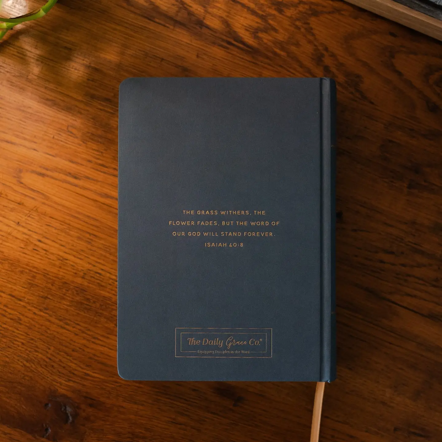 Lantana | Esv Large Print Journaling Bible