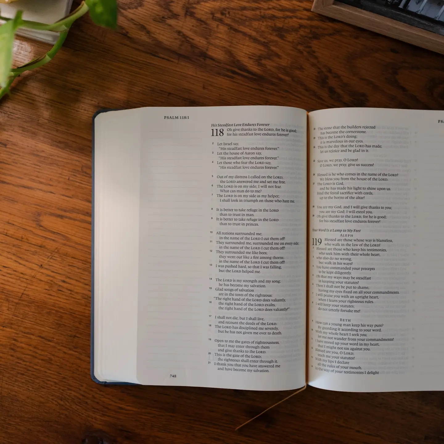 Lantana | Esv Large Print Journaling Bible