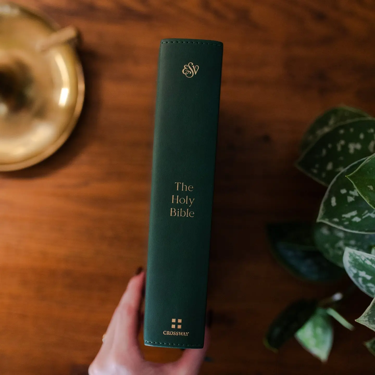 Wild Rose | Esv Single Column Journaling Bible