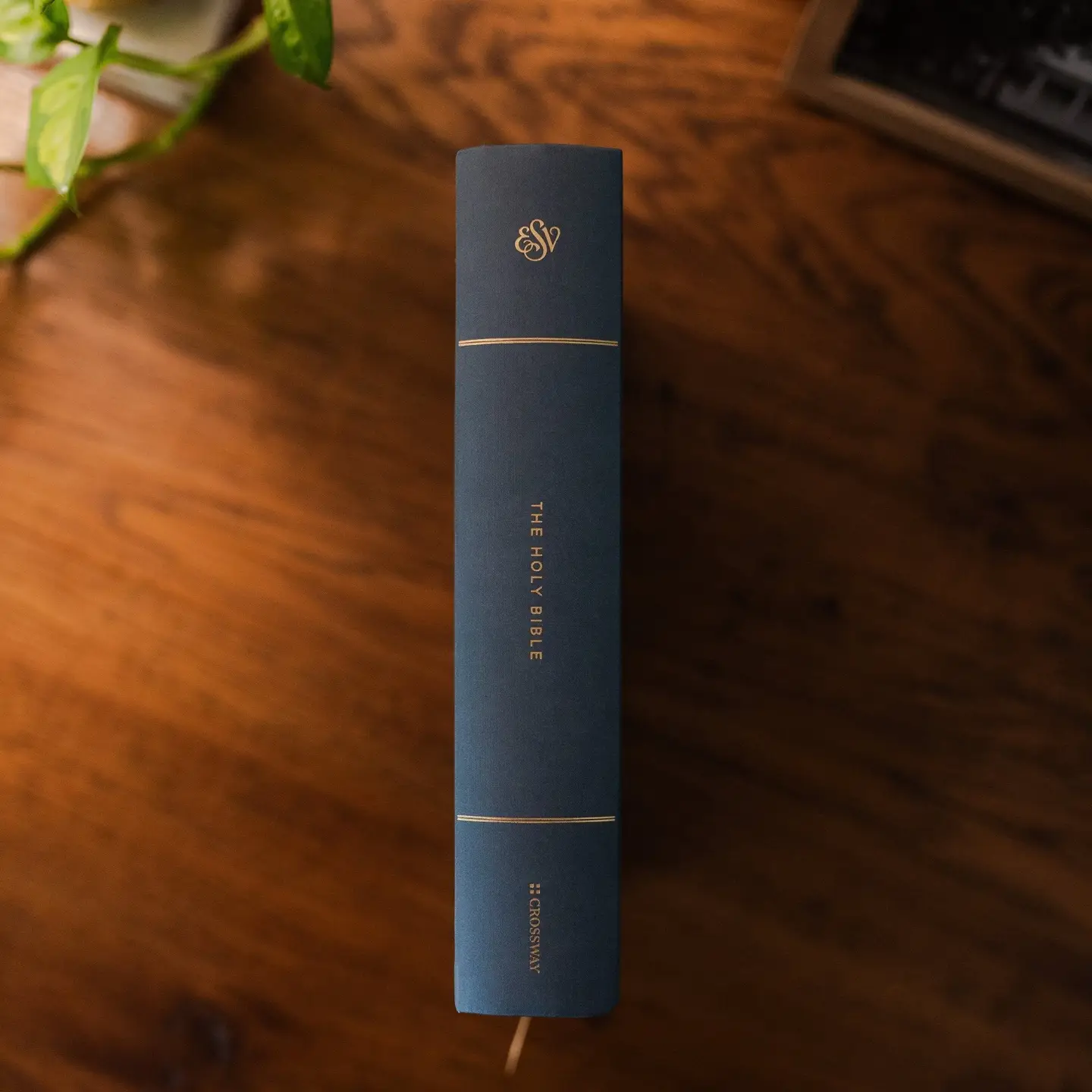 Lantana | Esv Large Print Journaling Bible