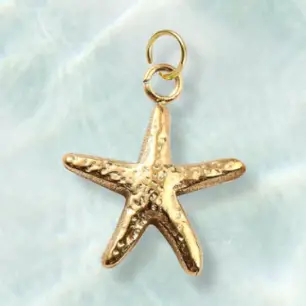 Gold Hammered Starfish Shell Charm