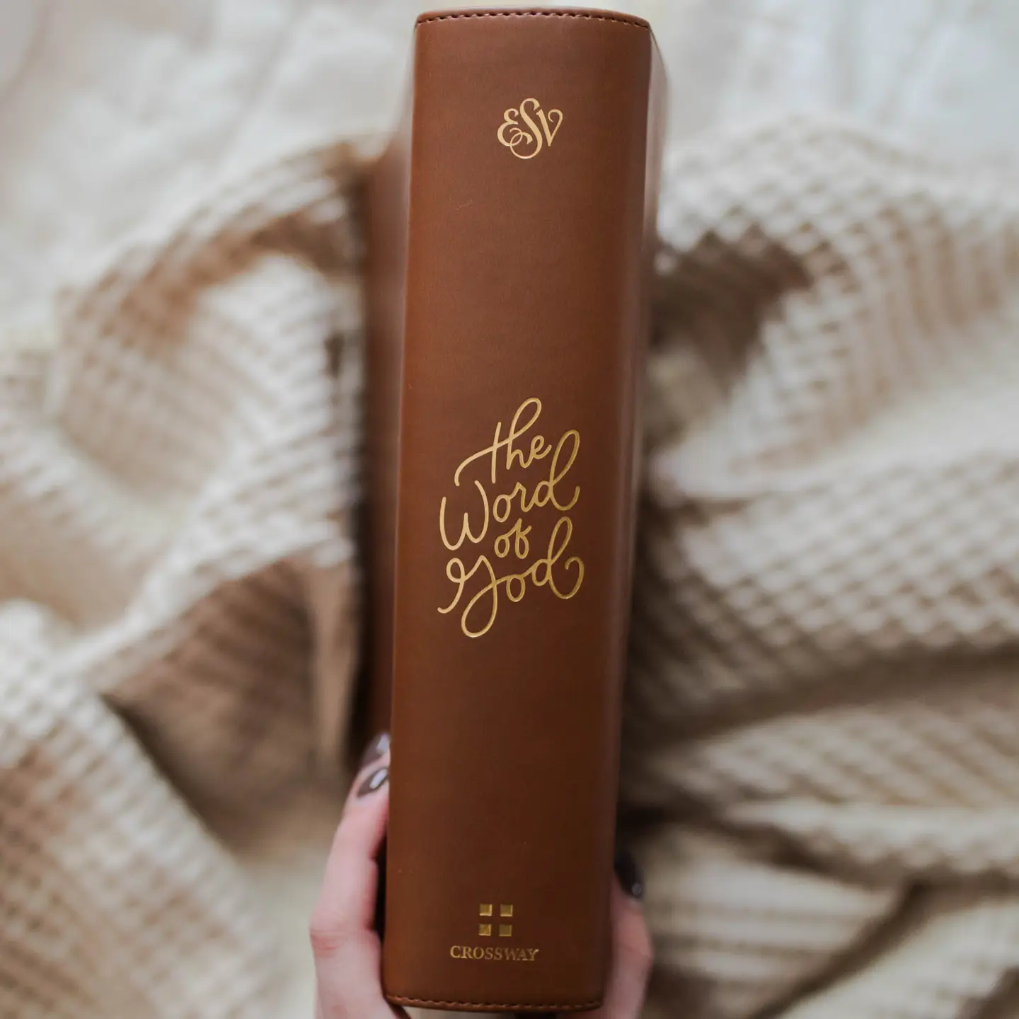 Wondrous Things | Esv Study Bible, Trutone