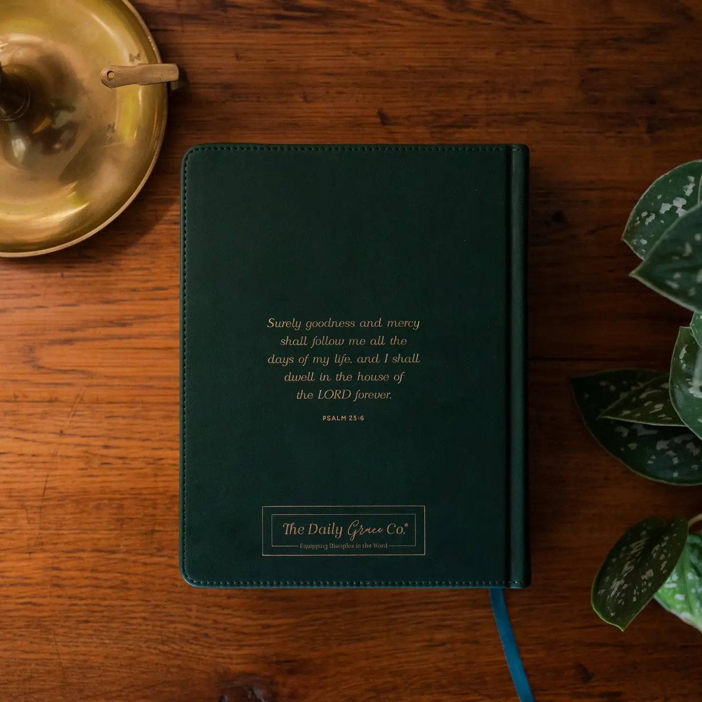 Wild Rose | Esv Single Column Journaling Bible