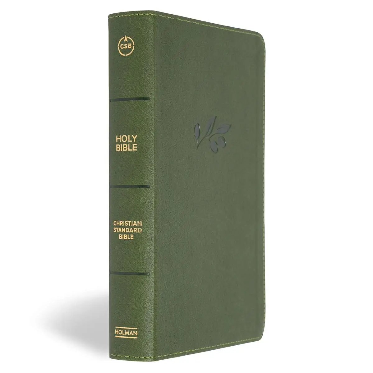 CSB Large Print Personal Size Digital Study Bible