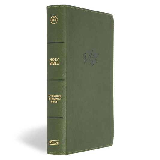 CSB Large Print Personal Size Digital Study Bible