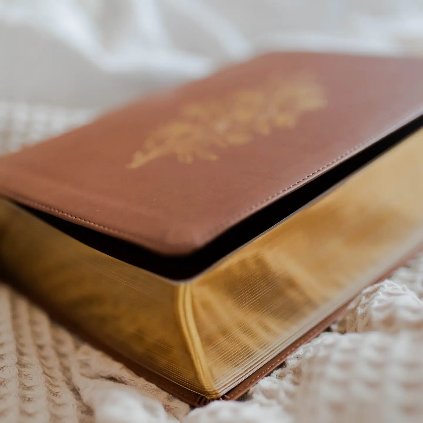 Wondrous Things | Esv Study Bible, Trutone