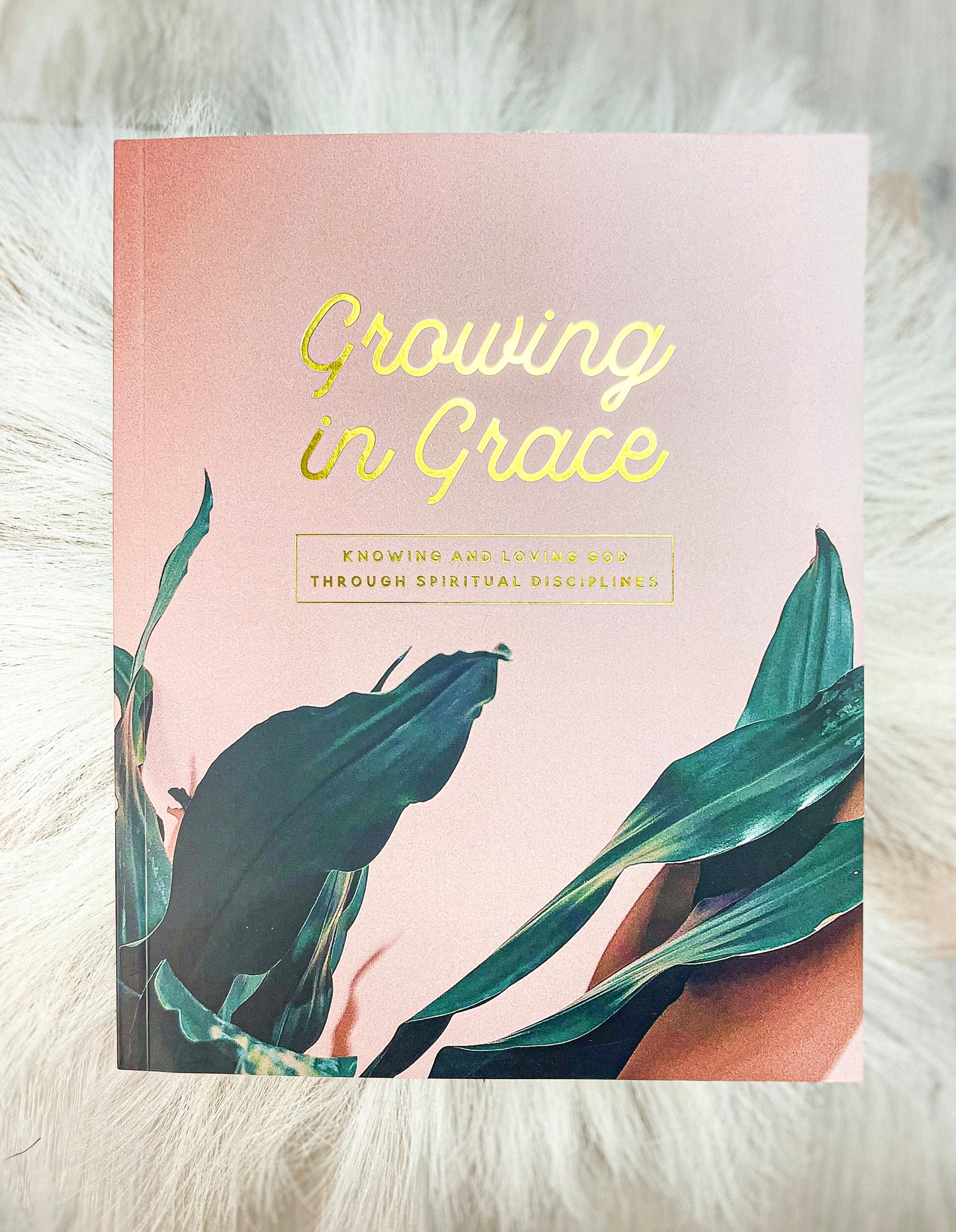 Growing in Grace Study