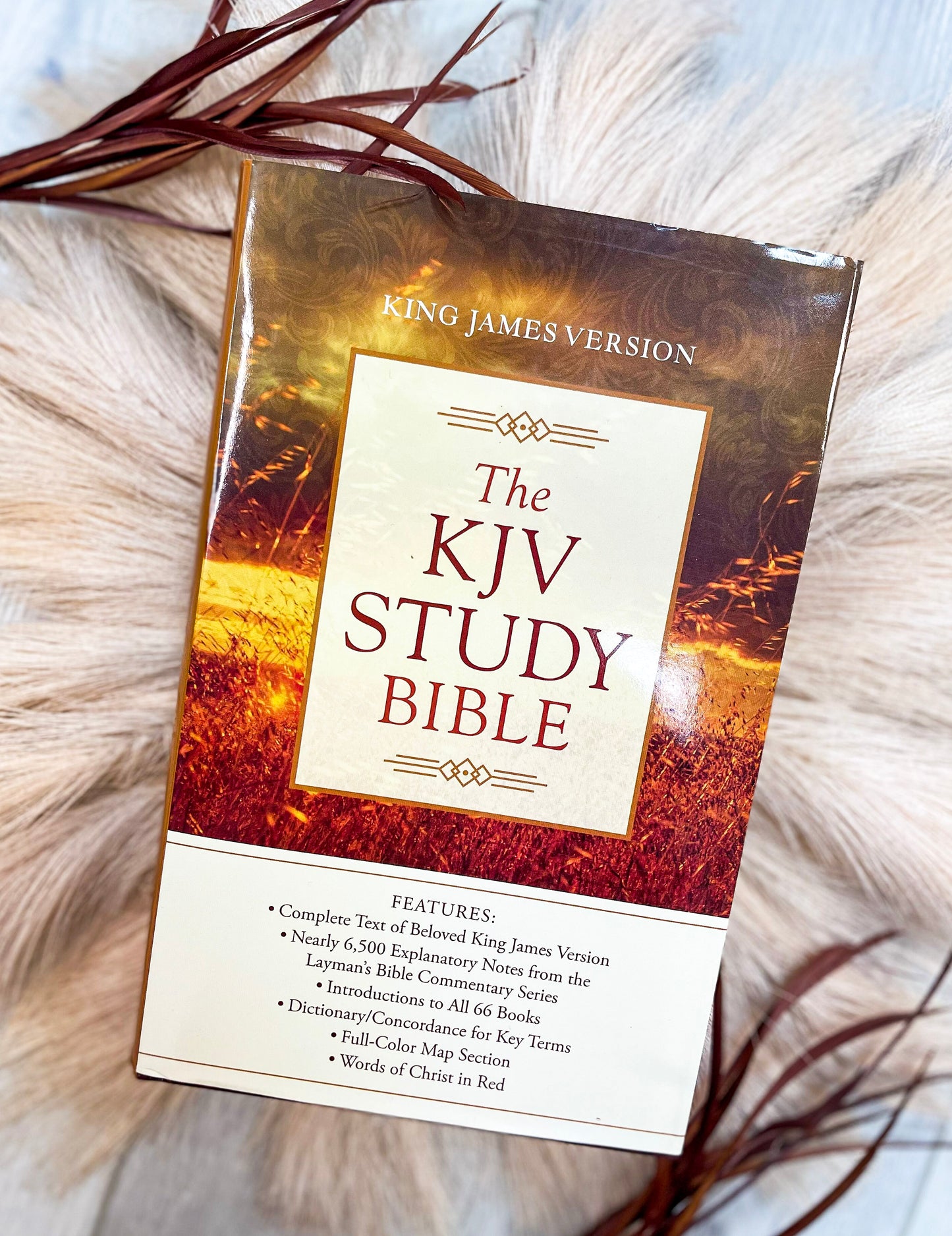 The KJV Study Bible