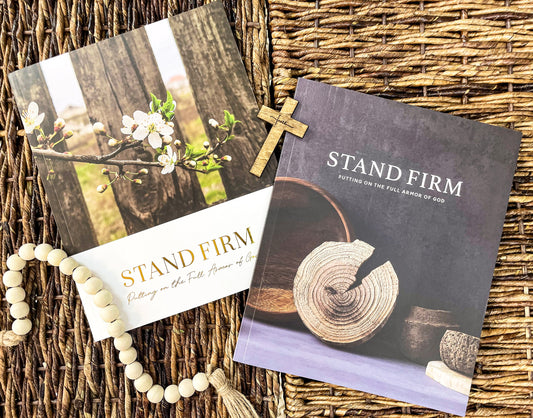 Stand Firm Armor of God Study