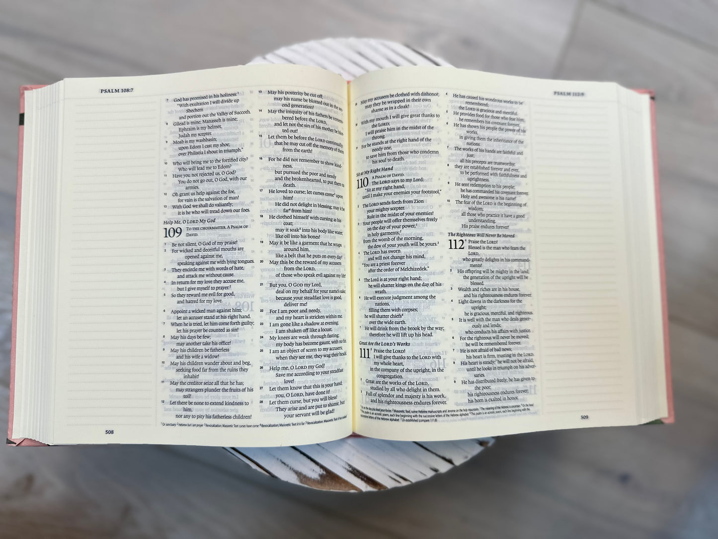The Holy Bible ESV: Pink Floral-Hand Painted