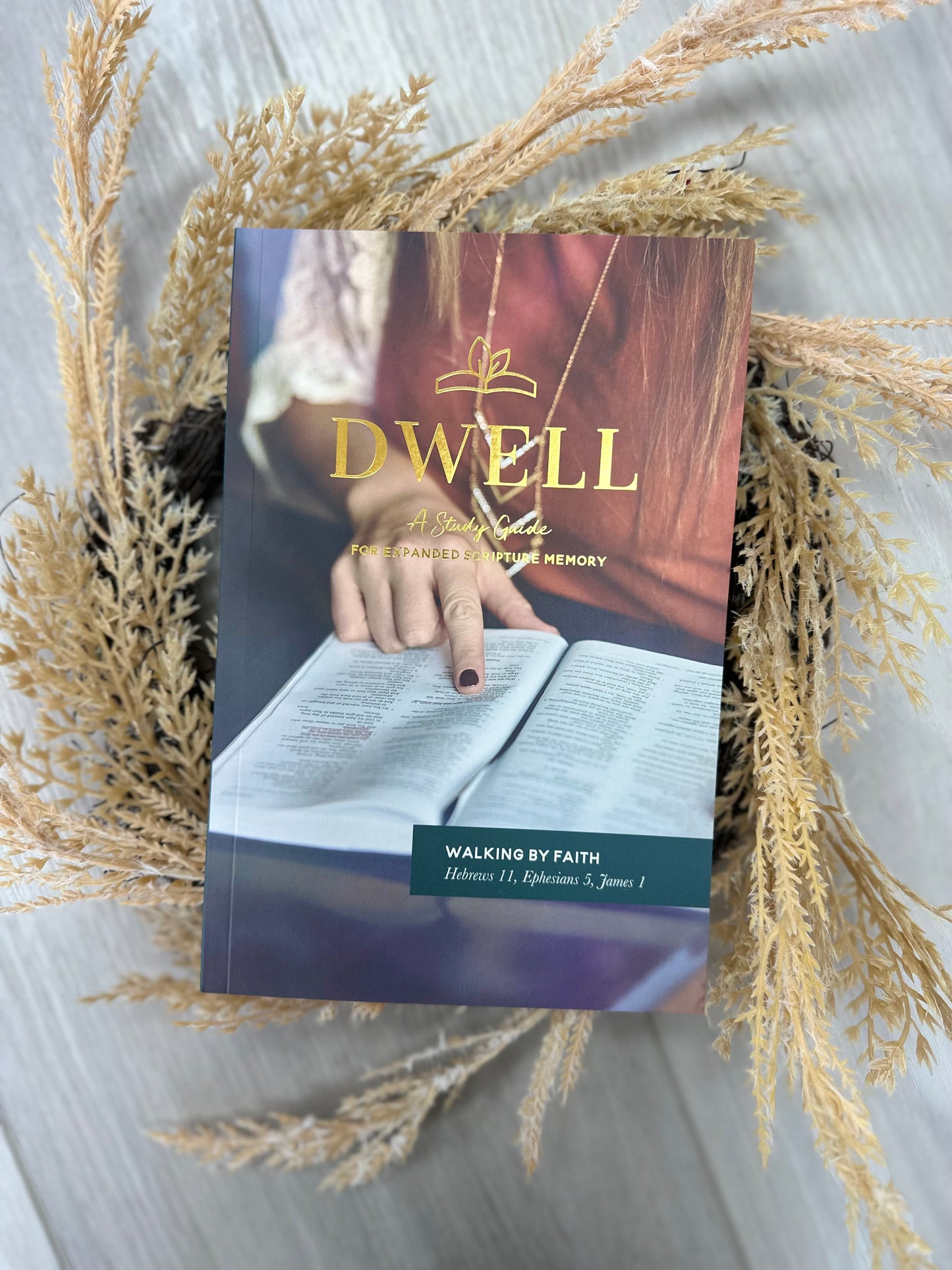 Dwell Scripture A Study Guide