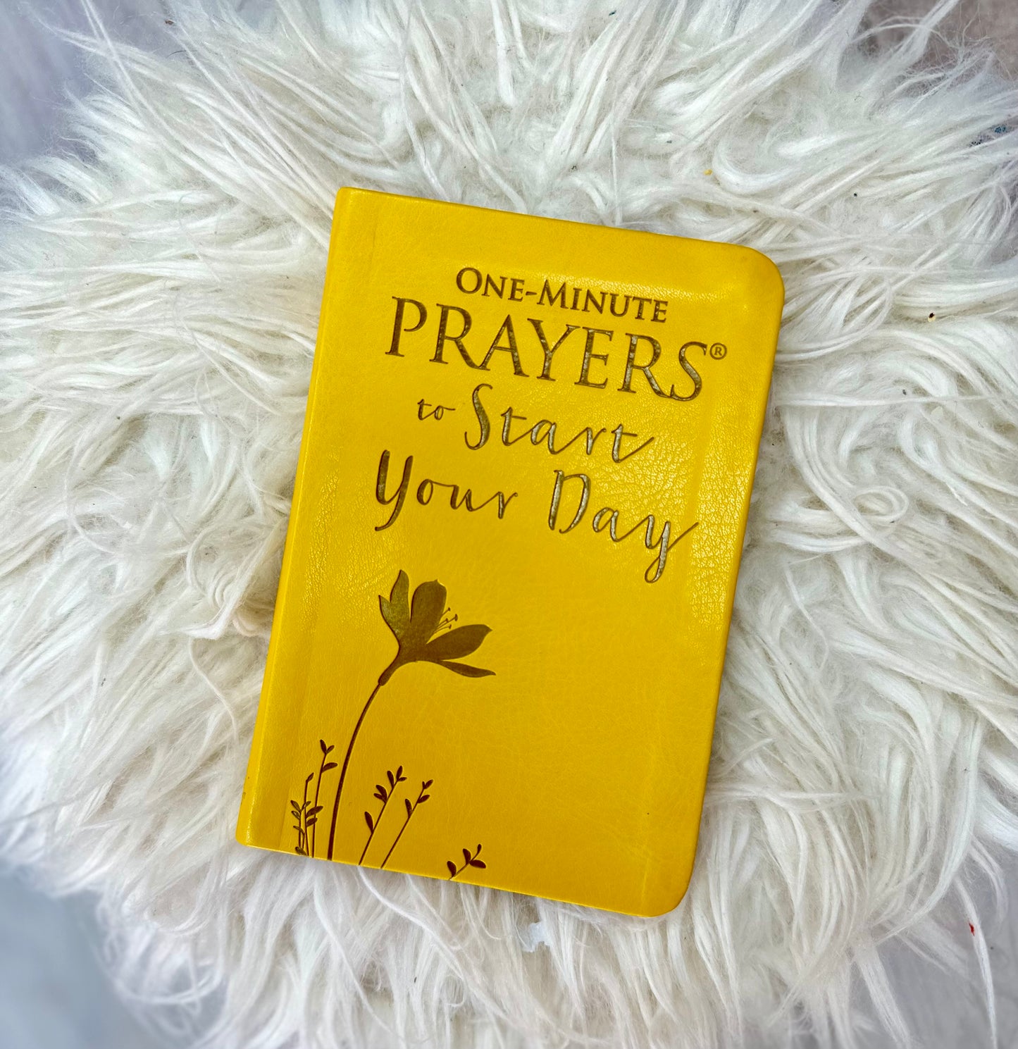 One Minute Prayers to Start your Day