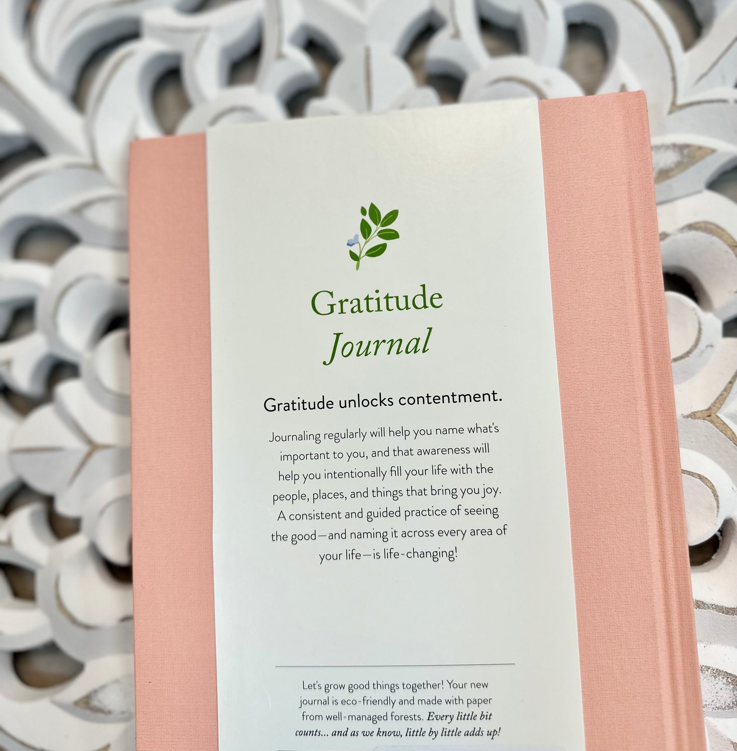 Gratitude for Today Journal